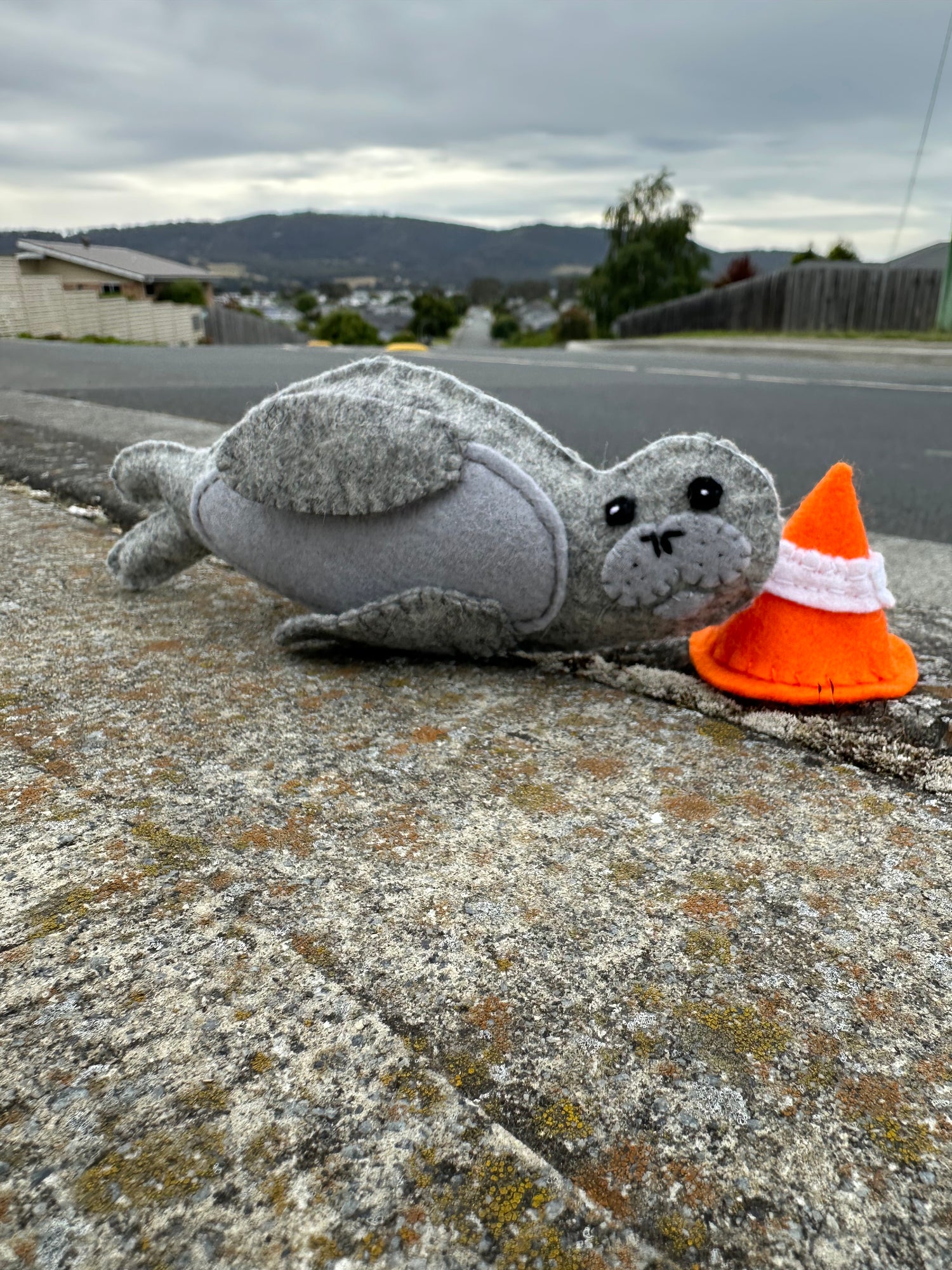 Marine soft toy creatures collectionA collection of soft toys made from felt . Handmade in Tasmania . Marine creatures we all loveTasmanian Softies