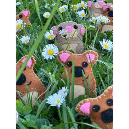 Pademelon babies and Pygmy possumThese adorable Pygmy possums and baby Pademelons are "Experience cuteness overload with these handmade Pygmy possum soft toys from Tasmania. Perfect as gifts or stocking fillers, these adorable possum babies are sure to br