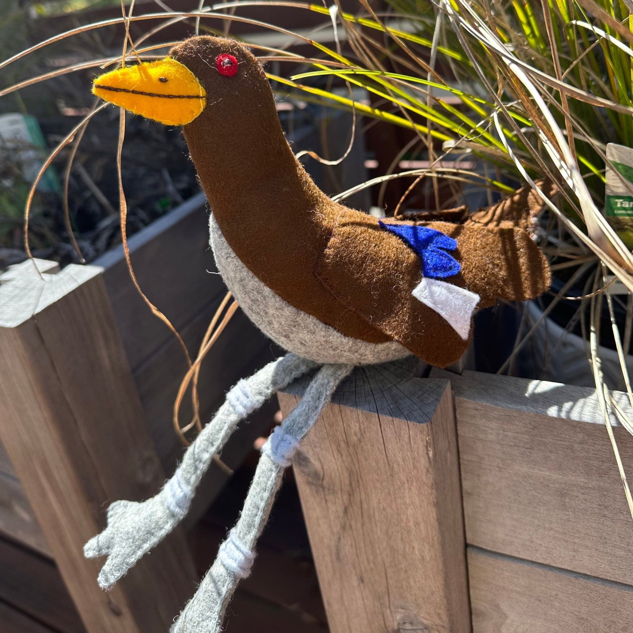 Turbo chook native hen soft toyHere is our new stuffed toy “Turbo Chook” as they are known in Tasmania . This loveable character has now been made into a soft toy. Take him wherever you go for those comical photo shoots. A souvenir of Tasmania or that spe