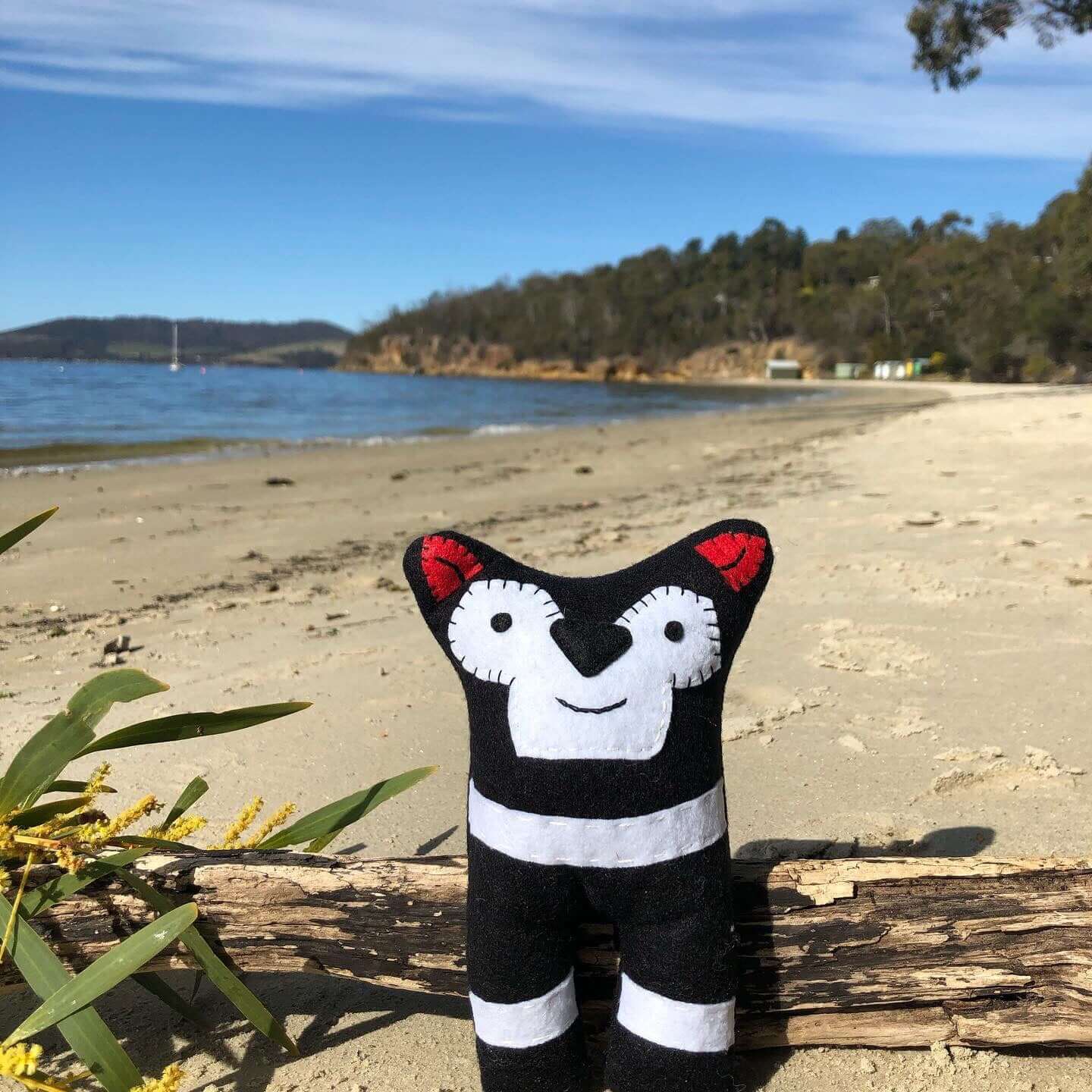 Tasmanian Devil soft toy made from wool felt"Show your love for Tasmanian Devils with this quirky handmade soft toy! Crafted with wool felt and designed with care. Made in Tasmania.Tasmanian Softies