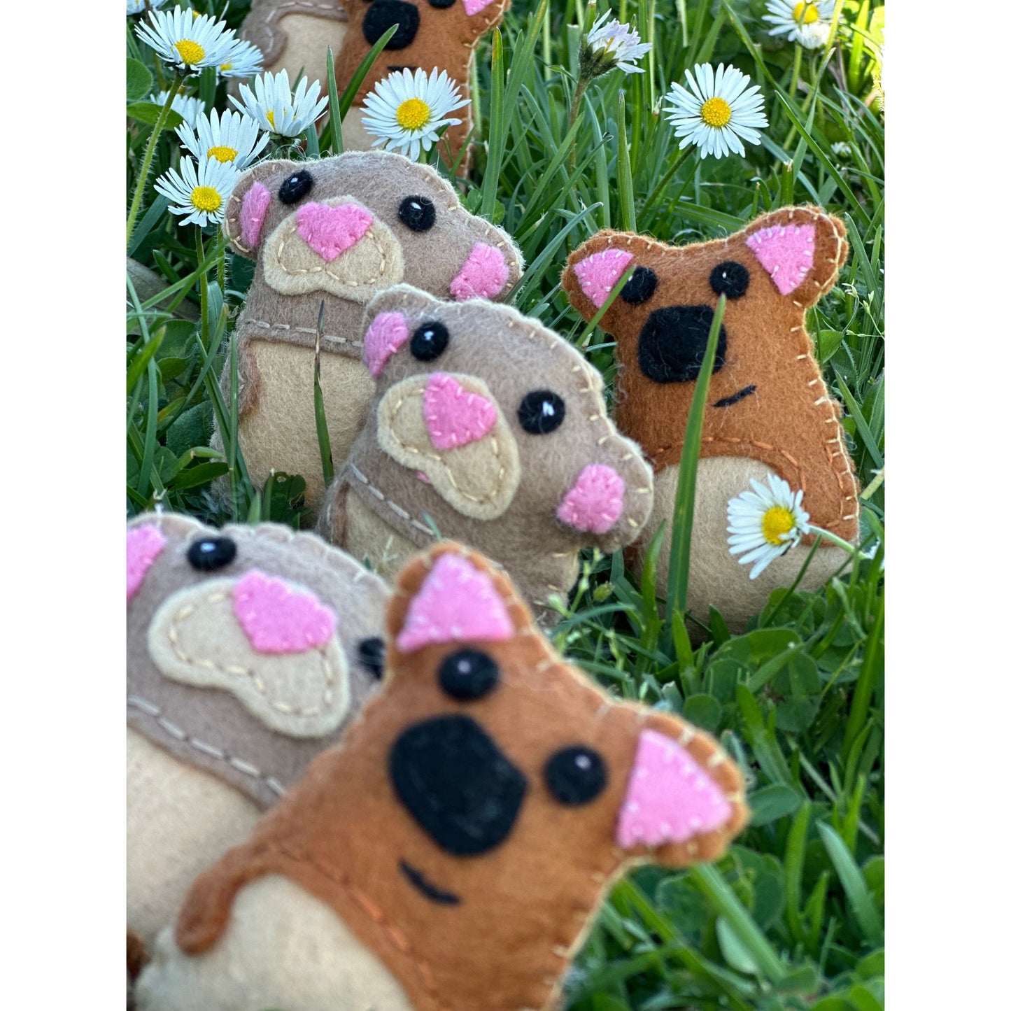 Pademelon babies and Pygmy possumThese adorable Pygmy possums and baby Pademelons are "Experience cuteness overload with these handmade Pygmy possum soft toys from Tasmania. Perfect as gifts or stocking fillers, these adorable possum babies are sure to br