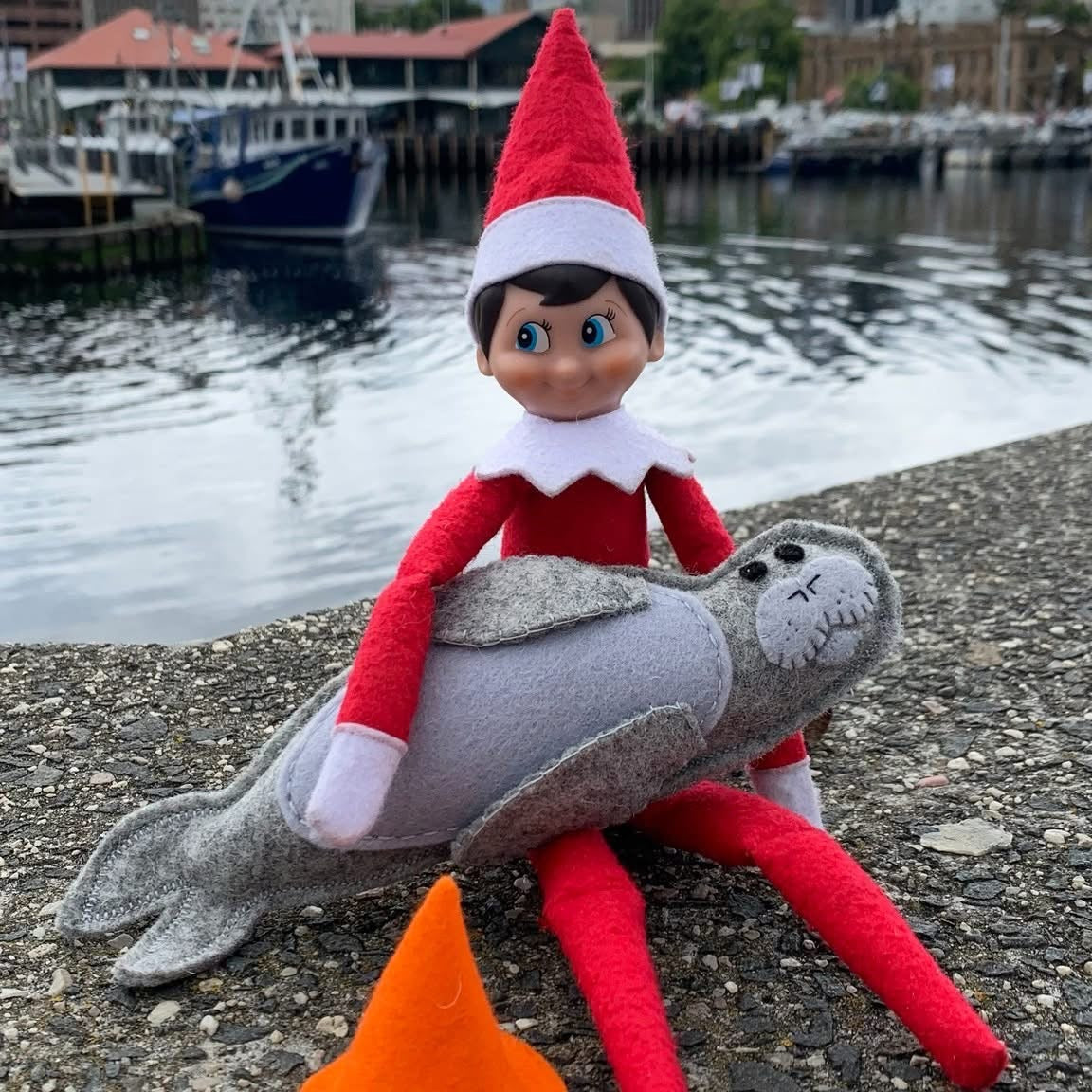 Neil the Seal soft toy with traffic cone made from wool feltNeil the Seal, a loveable Tasmanian character! This soft toy comes with his signature traffic cone, bringing a smile to anyone's face. Made from wool felt.Tasmanian Softies