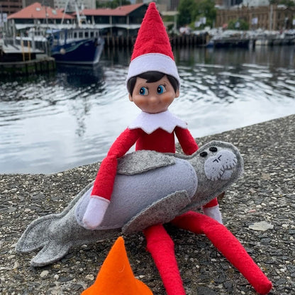 Neil the Seal soft toy with traffic cone made from wool feltNeil the Seal, a loveable Tasmanian character! This soft toy comes with his signature traffic cone, bringing a smile to anyone's face. Made from wool felt.Tasmanian Softies