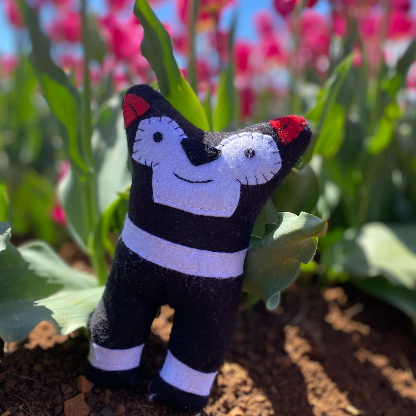 Tasmanian Devil soft toy made from wool felt"Show your love for Tasmanian Devils with this quirky handmade soft toy! Crafted with wool felt and designed with care. Made in Tasmania.Tasmanian Softies