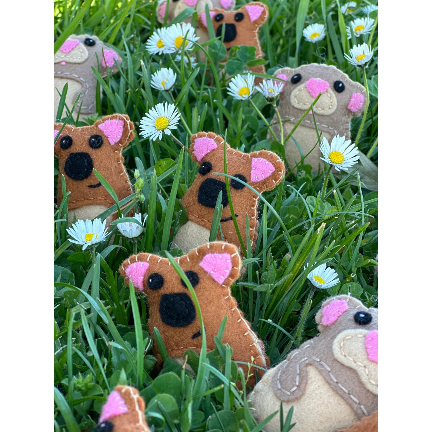 Pademelon babies and Pygmy possumThese adorable Pygmy possums and baby Pademelons are "Experience cuteness overload with these handmade Pygmy possum soft toys from Tasmania. Perfect as gifts or stocking fillers, these adorable possum babies are sure to br