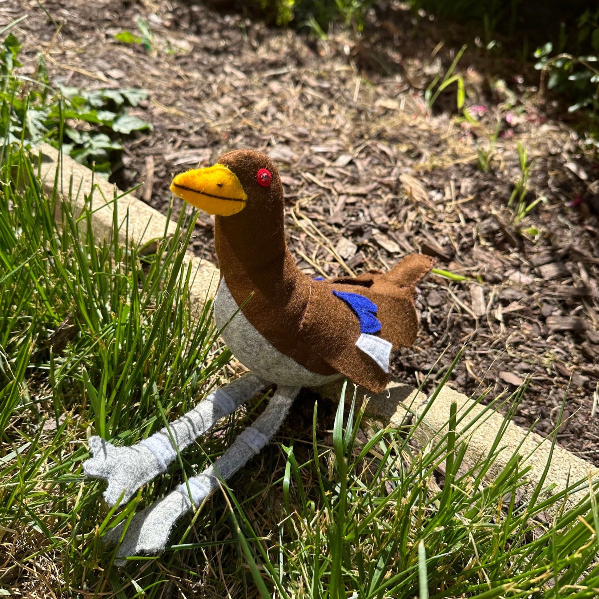 Turbo chook native hen soft toyHere is our new stuffed toy “Turbo Chook” as they are known in Tasmania . This loveable character has now been made into a soft toy. Take him wherever you go for those comical photo shoots. A souvenir of Tasmania or that spe